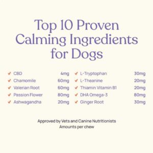 barkt calming dog treats.jpg