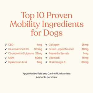 barkt mobility dog treats.jpg