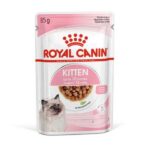 royal canin kitten in gravy
