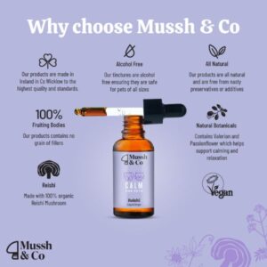 reishi mushroom calm for dogs.jpg