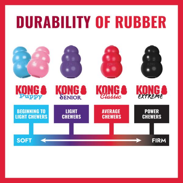 kong puppy